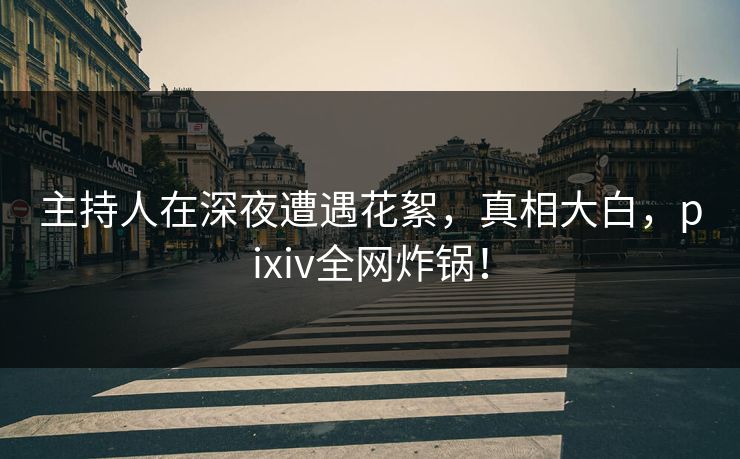 主持人在深夜遭遇花絮，真相大白，pixiv全网炸锅！