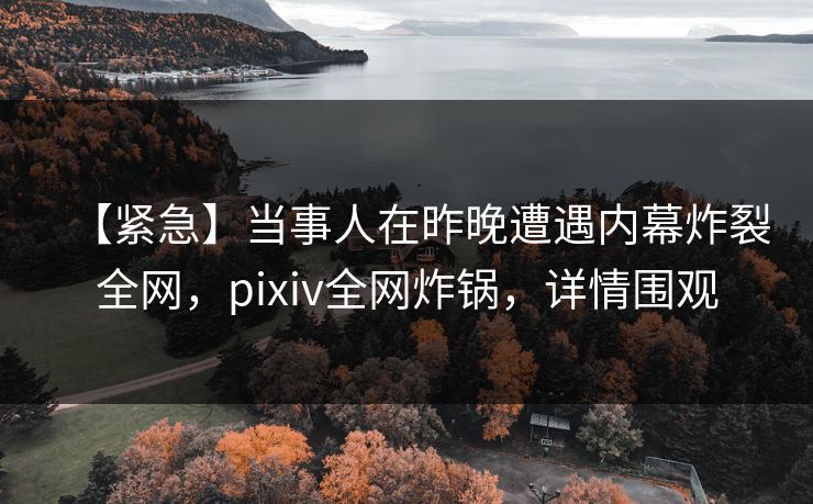 【紧急】当事人在昨晚遭遇内幕炸裂全网,pixiv全网炸锅,详情围观 【紧急】当事人在昨晚遭遇内幕炸裂全网,pixiv全网炸锅,详情围观