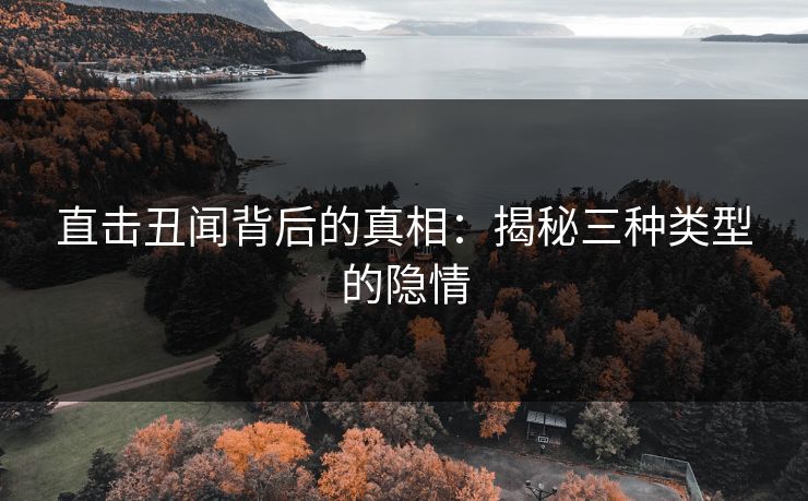 直击丑闻背后的真相:揭秘三种类型的隐情 直击丑闻背后的真相:揭秘三种类型的隐情