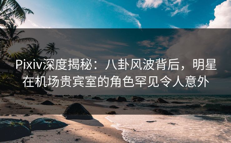 Pixiv深度揭秘:八卦风波背后,明星在机场贵宾室的角色罕见令人意外 Pixiv深度揭秘:八卦风波背后,明星在机场贵宾室的角色罕见令人意外